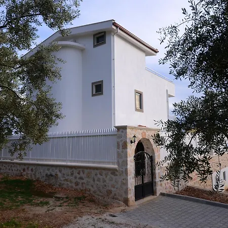 Green * Islamlar (Mediterranean)